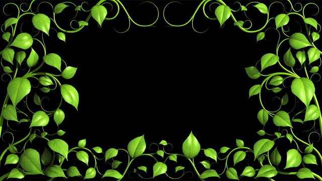 Green Plant pattern is growing on black in HD 1080.