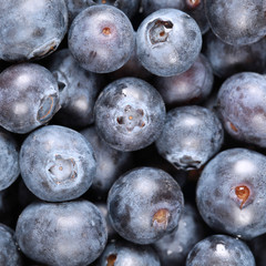 Heidelbeeren Hintergrund