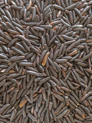 riz noir Black rice food