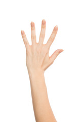 open hand gesture number five fingers up