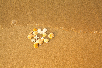 Texture of beach sand and sea shells, with a soft wave.