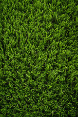 Artificial green grass