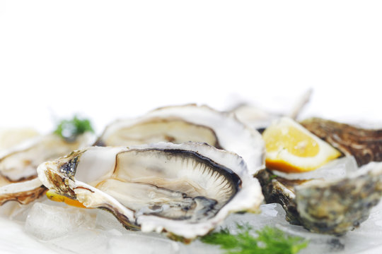 Oysters with lemon and dill