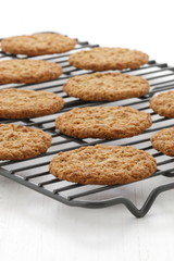 Fresh baked oatmeal cookies