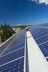 Solar panels with technician