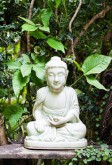 celadon buddha