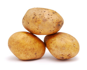 potato