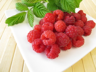Frisch gepflückte Himbeeren