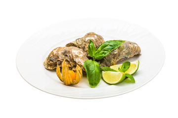 Fresh oyster
