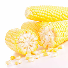 isolated corn