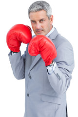Tough businessman with boxing gloves