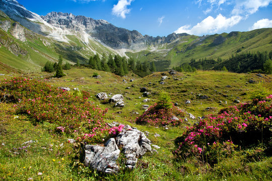 Pr&auml;chtiges Panorama