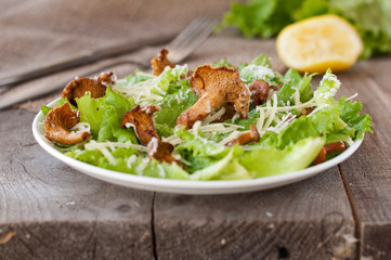 salad with mushrooms (chanterelles), parmesan, lettuce