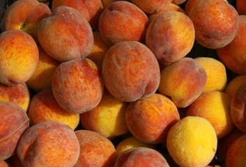 golden peaches