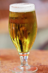 Bier
