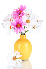 Beautiful daisies in colorful vase isolated on white
