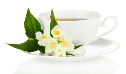 Cup of tea with jasmine, isolated on white