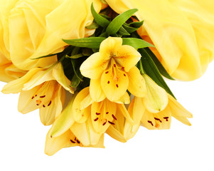 Obraz premium Beautiful orange lilies, isolated on white