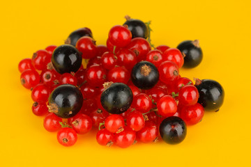 Currants on yellow background
