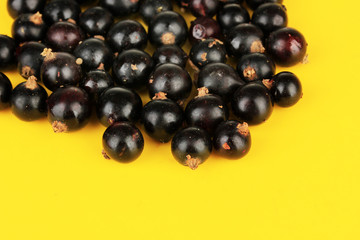 Blackcurrants on yellow background