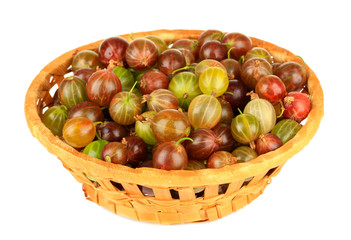 Fresh gooseberries in wicker basket isolated on white