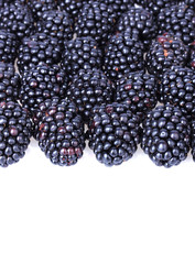 Sweet blackberries on white background