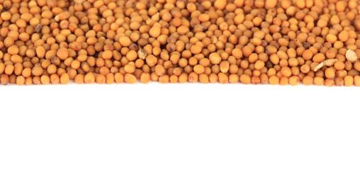 Mustard seeds isolated on white