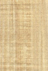 Fototapeta na wymiar Papirus