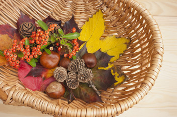 Autumn collection, leaves, conkers, pinecones, berries, basket.