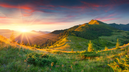 Beautiful summer landscape in the mountains - Powered by Adobe
