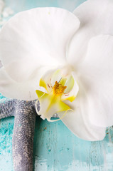 Obraz na płótnie Canvas Starfish with white orchid