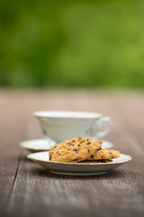 Coffee and cookie in garden