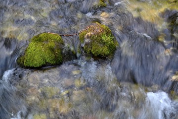 stream in the mountains. Tatra Mountains. Poland © robert6666