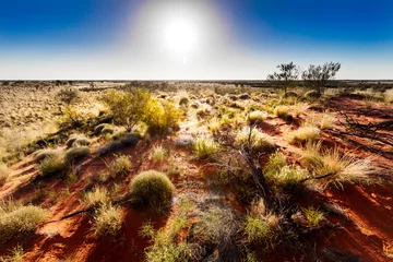 Stof per meter Australische outback © thakala