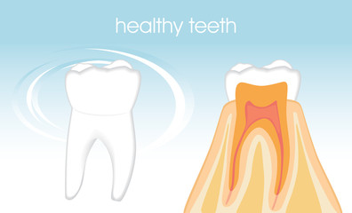 Healthy teeth on the blue background