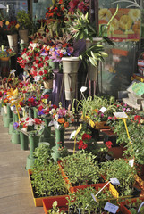 Florist display in Barcelona. Spain