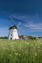 Windmühle Myreagre Molle auf Bornholm