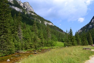 Obraz premium Tatra Mountains.Kościeliska Valley.Poland