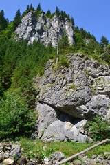 Tatra Mountains.Chochołowska Valley.Poland