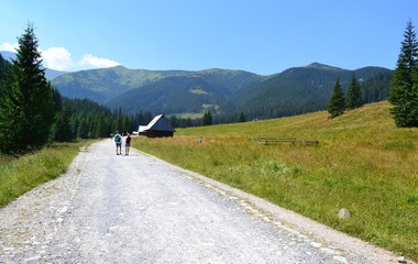 Tatry.Dolina Chochołowska.Polska