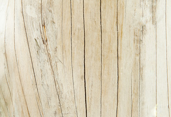 Fototapeta premium Texture Wood