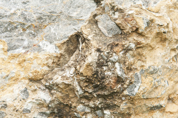 Surface of the rock in the background