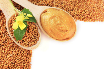 Mustard seeds with mustard flower isolated on white