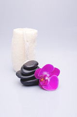 Massage stones, sponge and orchid on a white background