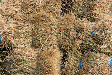 Background of Hay Bales