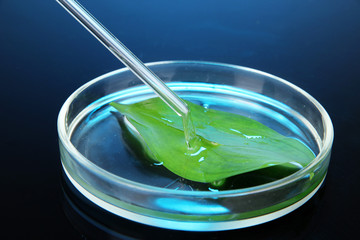 Chemical research in Petri dish on dark blue background