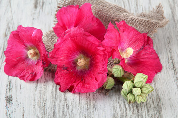 Pink mallow flowers on wooden background