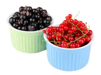 Red and black currant in bowls isolated on white
