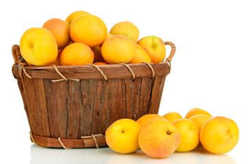 Fresh natural apricot in basket isolated on white