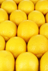 Ripe lemons close-up